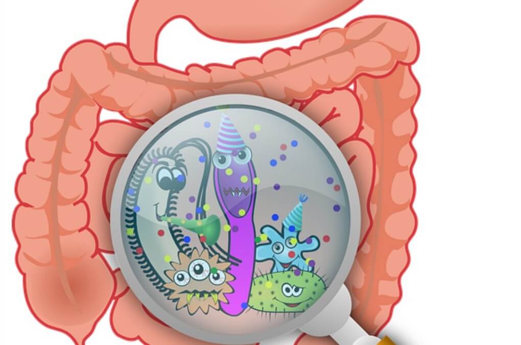 Tu microbiota (o flora) intestinal y tu salud