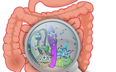 Tu microbiota (o flora) intestinal y tu salud