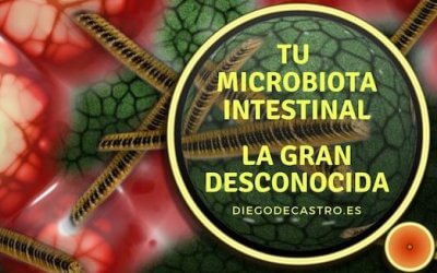 Tu microbiota Intestinal, la gran desconocida