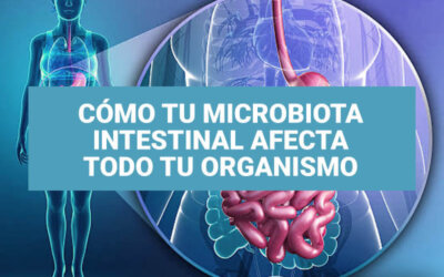 Cómo tu microbiota intestinal afecta todo tu organismo