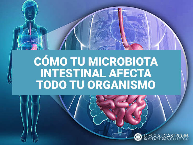 Cómo tu microbiota intestinal afecta todo tu organismo