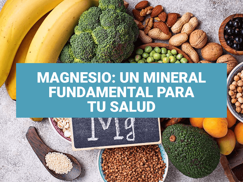 Magnesio: un mineral fundamental para tu salud