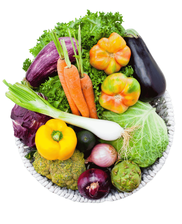 coaching nutricional diego de castro